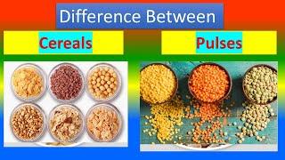 Difference between Cereals and Pulses