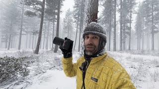 Photography under a foot of snow in Tahoe