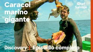 El gran caracol marino que potencia la líbido | Episodio 7 Completo | Chef salvaje