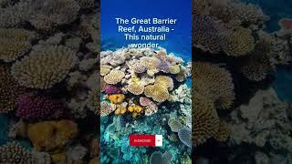 GREAT BARRIER REEF AUSTRALIA #travel #fact #oceania #coral #largest #queensland