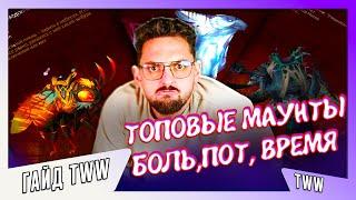 ГАЙД КАК ПОЛУЧИТЬ АЛУНИРА, МЕДОПЧЕЛУ И ЗИСБАРГА, 3 ТОП МАУНТА#worldofwarcraft #варкрафт #warwithin