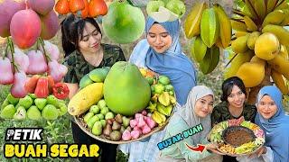 Panen buah-buahan dikebun | Bikin rujak buah segar