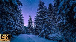 Winter Wonderland 4K - Scenic Relaxation Film with Calming Music