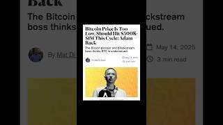 Adam Back Believes Bitcoin should hit 500k- 1million in 4 years