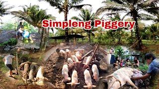 Nagtayo ng Simple Murang Piggery para sa mga Palakihing Biik Nanganak na kasi mga Inahin