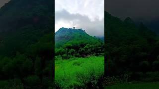 @nature ke diwane #viral#naturelovers#nature#trending#ytshorts#foryou#video#song#viralvideo#funny#mr