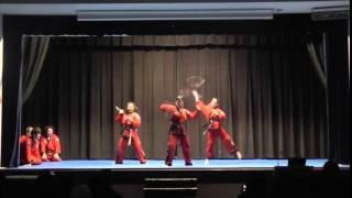 Hapkido College of Australia: HCA Eagles Strathfield Girl's Culture Day Demonstration