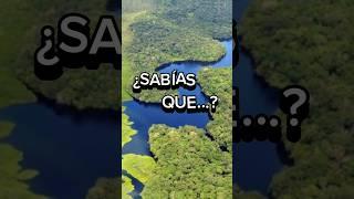 EL TAMAÑO DEL RIO AMAZONAS #amazonas #brasil #rio #rioamazonas