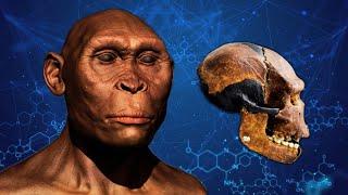 The Weird History of the 800,000-Year-Old Peking Man Fossils