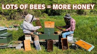 How We Double Demaree Our Two Queen Hive For Increased Honey Production