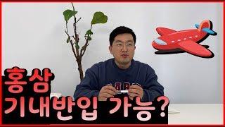 홍삼제품, 기내 반입이 가능할까요?/홍삼/홍삼액/홍삼정/홍삼엑기스/수화물