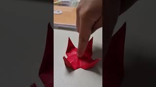 #trap #origami #paperfolding #kid #함정 #종이접기