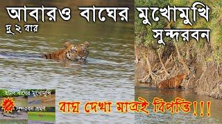 SUNDARBAN |SUNDARBAN TOUR | ROYAL BENGAL TIGER | SUNDARBAN SAFARI | সুন্দরবন |TIGER |SUNDARBAN TIGER