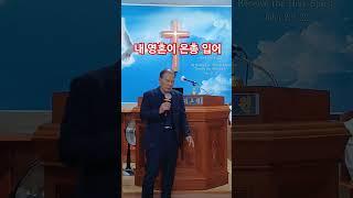(내 영혼이 은총 입어) 이석환 장로 2025.5.23 시내산기도원
