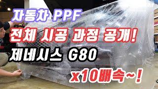 자동차 PPF 시공과정 모두! 보여드립니다. 현대 제네시스 G80 PPF 전체시공 영상 10배속