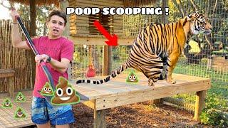 POOP SCOOPING ALL MY EXOTIC ANIMALS !