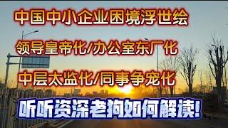 中国中小企业困境浮世绘，领导皇帝化，办公室东厂化，中层太监化，同事争宠化。听听资深老狗如何解读。