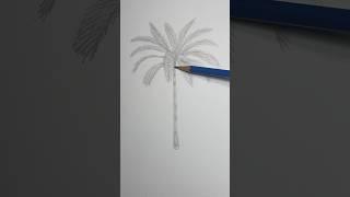 Draw a realistic palm tree  Easy drawing lesson for beginner artists. #drawinglesson #palmtree