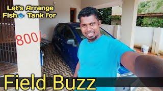 How to make a Fish  Tank? | Field Buzz | Tamil #fish #fishtank #fishvideo #videos #funny