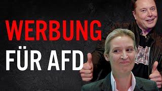 Musk findet: "NUR DIE AFD KANN DEUTSCHLAND RETTEN!"