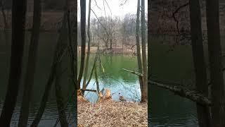 25.3.25 МО. +3+4, пасмурно, лёгкий дождь, мало ветрено. См ту же дату год назад.