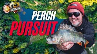 **FOX RAGE TV** PERCH PURSUIT | Mat Woods Uncovers Lake Secrets | Lure fishing for beginners UK