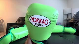 Yokkao Boxing Gloves 2 Year Review