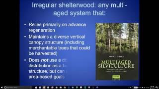 Exploring Silvicultural Strategies in Northern New England – Irregular Shelterwood