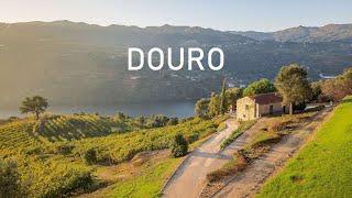 The Douro Valley Portugal | 4K