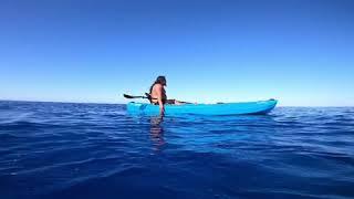 OAHU Huliawas diving JUSTDROP