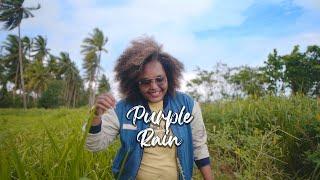 Purple_Rain (Reage_Cover) Marcelina Umar