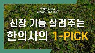 신장 기능 살려주는 한의사 추천 식품