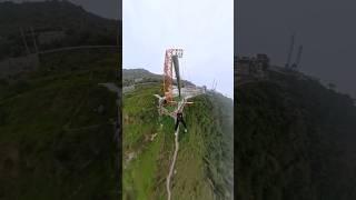 Swinging into the wild side of life! 