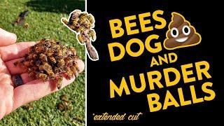 Bees, Dog Poo and Murder Balls? What's Going On?! *extended cut*