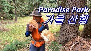 가을 산행 Paradise Park