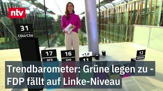 Grüne legen zu - FDP fällt auf Linke-Niveau | ntv Trendbarometer