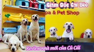 Review nhà mới 6 tầng của Củ Cải, siêu to khổng lồ | Welcome to my new house