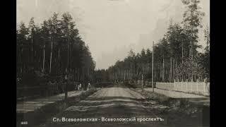 Всеволожск / Vsevolozhsk: 1910-1914