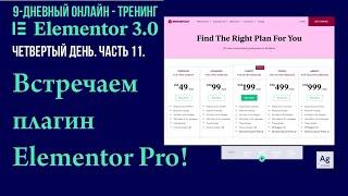 №11. Как приобрести плагин Elemenor Pro, установить на сайт  и активировать лицензию.