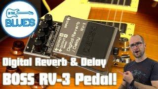 BOSS RV-3 Digital Reverb & Delay Pedal