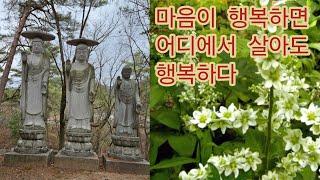 마음의 행복