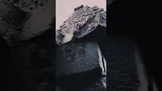 Harishchandra gad| #harishchandragad #kokankada #waterfall