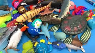 Jaw-some Unboxing: Shark Toys and Sea Animal Fun Facts for Kids