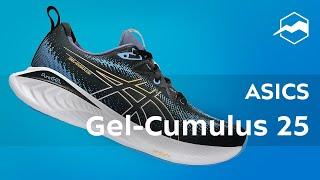 Кроссовки ASICS Gel-Cumulus 25. Обзор