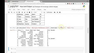 [6] Input and Output - Import Excel File into pandas