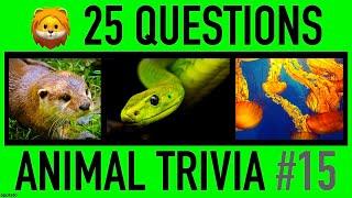 ANIMAL TRIVIA QUIZ #15 - 25 Animals Knowledge Trivia Questions and Answers | Pub Quiz