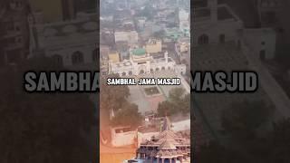 Sambhal Ki Jama Masjid Ya Mandir ? #shorts #youtubeshorts #ytshorts #tranding #sambhalmasjid