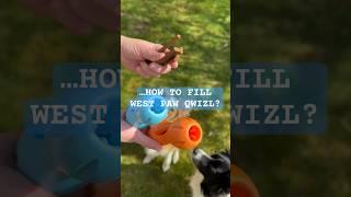 DO YOU KNOW HOW TO fill West Paw Qwizl Interactive Dog Toy? #dog #toys