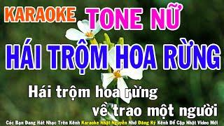 Hái Trộm Hoa Rừng Karaoke Tone Nữ Nhạc Sống - Phối Mới Dễ Hát - Nhật Nguyễn