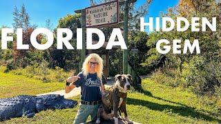 Florida LIVE Exploring Hidden Gem Nature Trail w/ Hudson the Dog